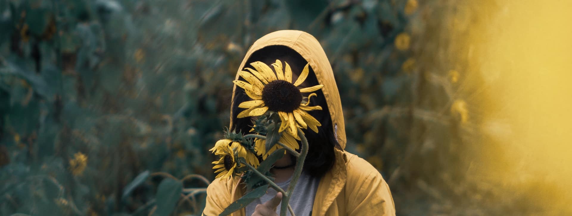 person with a sunflower