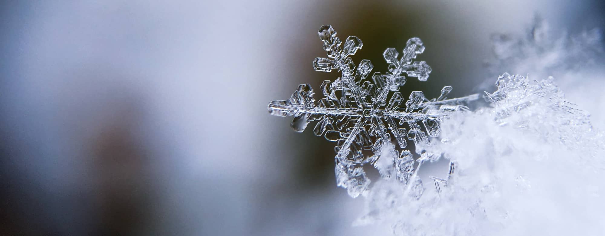 Photography of a snowflake
