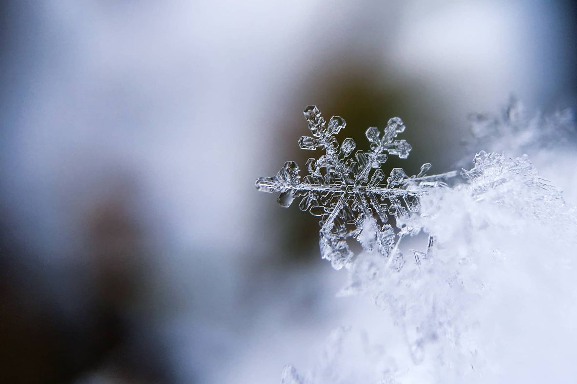Photography of a snowflake